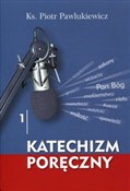 Katechizm ... - Piotr Pawlukiewicz -  books from Poland