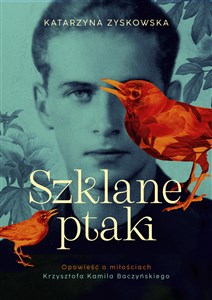 Picture of Szklane ptaki Opowieść o miłościach Krzysztofa Kamila Baczyńskiego