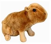 Ziki kapib... -  books in polish 