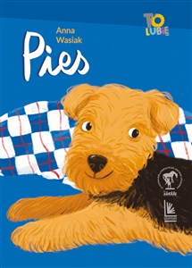 Picture of Pies
