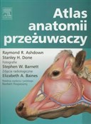 Atlas anat... - Raymond R. Ashdown, Stanley H. Done -  books from Poland