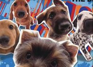 Picture of Podkładka laminowana The Dog DERFORM