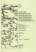 Słownik hi... -  books from Poland