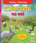 polish book : Szukaj i o... - Lieve Boumans