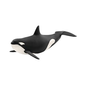Picture of Orka oceaniczna
