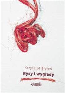 Picture of Rysy i wygłady