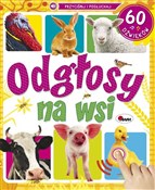 polish book : Odgłosy na... - Natalia Kawałko-Dzikowska