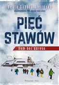 Pięć Stawó... - Beata Sabała-Zielińska -  books from Poland