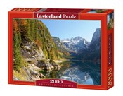polish book : Puzzle Gos...