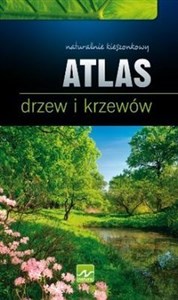 Obrazek Atlas drzew i krzewów