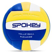 Zobacz : Piłka siat...