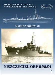 Picture of Niszczyciel ORP Burza