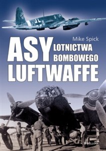 Picture of Asy lotnictwa bombowego Luftwaffe