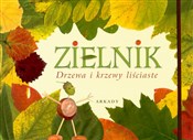polish book : Zielnik Dr... - Agnieszka Rekłajtis-Zawada, Tadeusz Kazubek