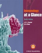 Polska książka : Immunology... - J.H.L. Playfair, B.M. Chain