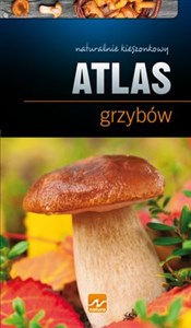 Obrazek Natura Atlas grzybów