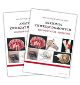 Anatomia z... - Hans-Georg Liebich, Horst Erich König -  foreign books in polish 