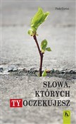 Polska książka : Słowa któr... - Paolo Curtaz