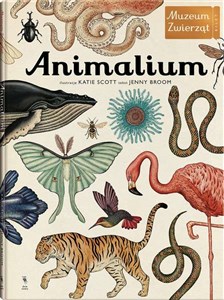 Obrazek Animalium Muzeum zwierząt