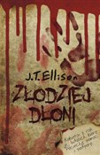 Złodziej d... - J. T. Ellison -  foreign books in polish 