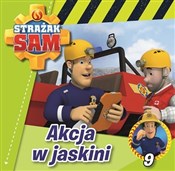 Polska książka : Strażak Sa... - Michał Brodacki