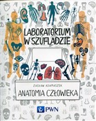 Laboratori... - Zasław Adamaszek -  books in polish 