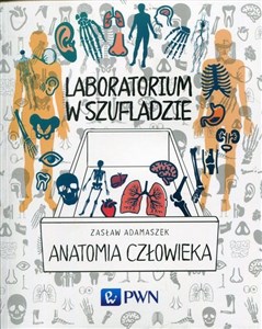 Picture of Laboratorium w szufladzie Anatomia człowieka