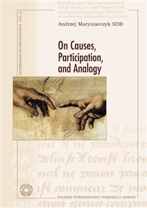 Picture of On Causes, Participation and Analogy