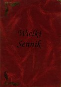 Książka : Wielki sen... - Marek Skierkowski