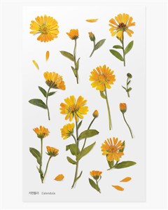 Obrazek Naklejki ozdobne kwiaty Nagietek artystyczne scrapbooking rękodzieło