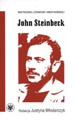 Książka : John Stein...