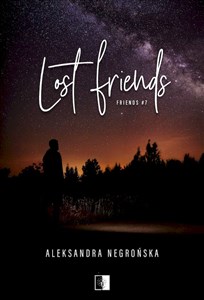 Obrazek Lost Friends Friends #7