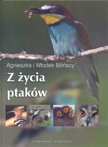 Picture of Z życia ptaków
