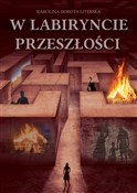 Polska książka : W labirync... - Literska Karolina Dorota