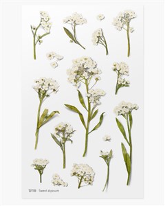 Obrazek Naklejki ozdobne kwiaty Smagliczka artystyczne scrapbooking rękodzieło