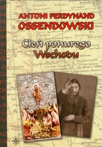 Picture of Cień ponurego Wschodu