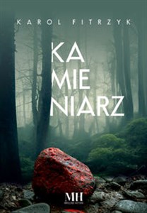 Picture of Kamieniarz Wielkie Litery