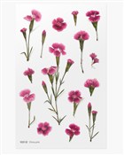 Zobacz : Naklejki o...