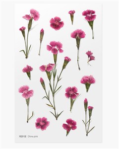 Picture of Naklejki ozdobne roślinne Starzec popielny artystyczne scrapbooking rękodzieło