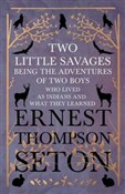 Two Little... - Ernest Thompson Seton -  books from Poland