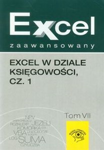 Picture of Excel zaawansowany Tom 7 Excel w dziale księgowości część 1