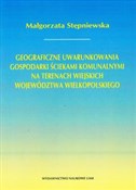 polish book : Geograficz... - Małgorzata Stępniewska
