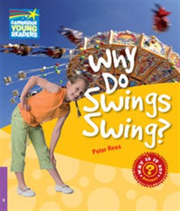 Picture of Why Do Swings Swing? Level 4 Factbook