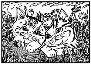 Picture of Kolorowanka Welwetowa Colorvelvet A4 Koty