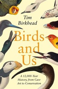 Obrazek Birds and Us