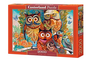 Obrazek Puzzle Owls 2000