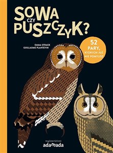 Obrazek Sowa czy puszczyk?