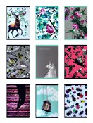 Książka : Zeszyt A5 ...