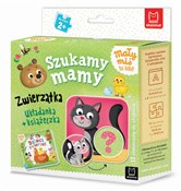 Mały miś t... - Opracowanie Zbiorowe -  books from Poland