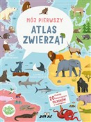 Mój pierws... - Cristina Banfi -  books from Poland